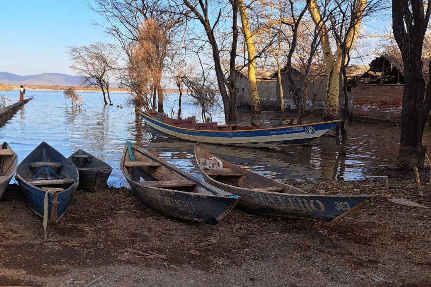 Dagstur til Lake Manyara: Safari med valgfrie tilleggsvalg