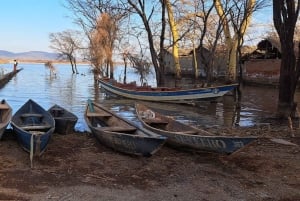 Dagstur til Lake Manyara: Safari med valgfrie tilleggsvalg
