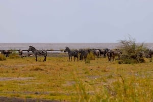 Dagstur til Lake Manyara: Safari med valgfrie tilleggsvalg