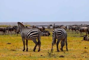 Dagstur til Lake Manyara: Safari med valgfrie tilleggsvalg