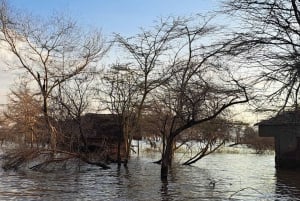 Dagstur til Lake Manyara: Safari med valgfrie tilleggsvalg