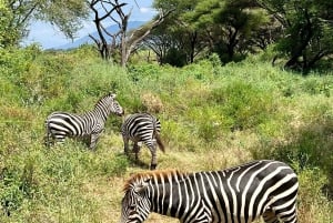 Lake Manyara, Tarangire, Ngorongoro 3-daagse safaritour