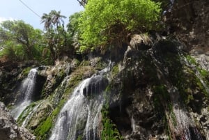 Lake Natron: Ngare Sero Waterfall