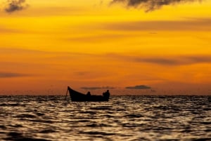 Lake Victoria Sunset & Island Cruise Experience