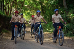 ランドヴェール地区ガイド付き自転車ツアー in アルーシャ
