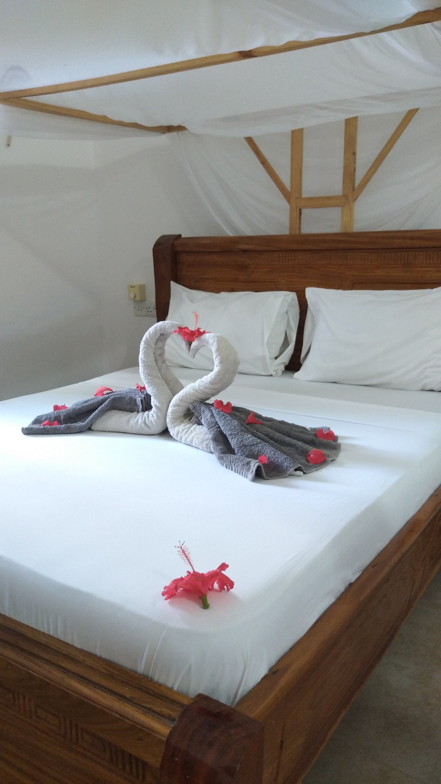 Fish Hostel Nungwi