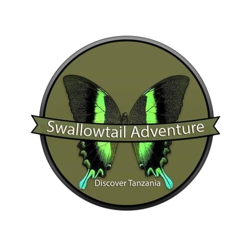 Swallowtail Adventure