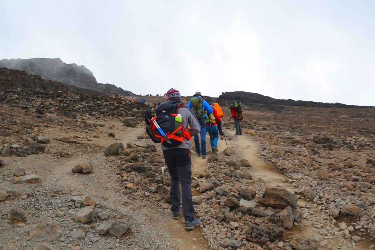 Lemosho-Route 10 Tage/9 Nächte 8 Tage auf dem Berg.