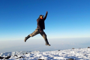 Lemosho-Route 10 Tage/9 Nächte 8 Tage auf dem Berg.