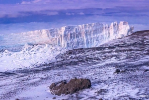 Lemosho-Route 10 Tage/9 Nächte 8 Tage auf dem Berg.