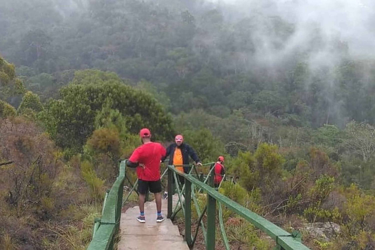 Zanzibar: rondleiding door het Jozani-bos met rode colobusapen