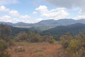 Zanzibar: Jozani-bos, Salaam-grot & Mtende-strandtour