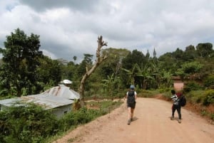Zanzibar: Jozani-bos, Salaam-grot & Mtende-strandtour