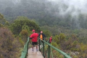 Zanzibar: Jozani-skogen, Fängelseön och kryddodling