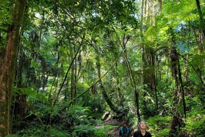 Zanzibar: Jozani-skogen, Fängelseön och kryddodling