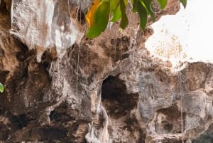 Sansibar: Maalumin luolan luonnon uima-allasretki Pajessa