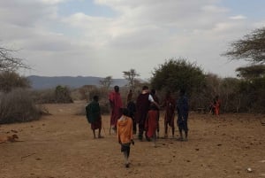 Aventura cultural Maasai boma com almoço e bebidas
