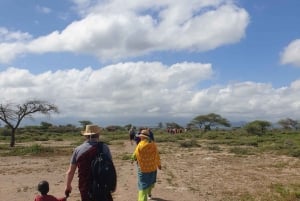Avventura culturale nel boma Maasai con pranzo e bevande