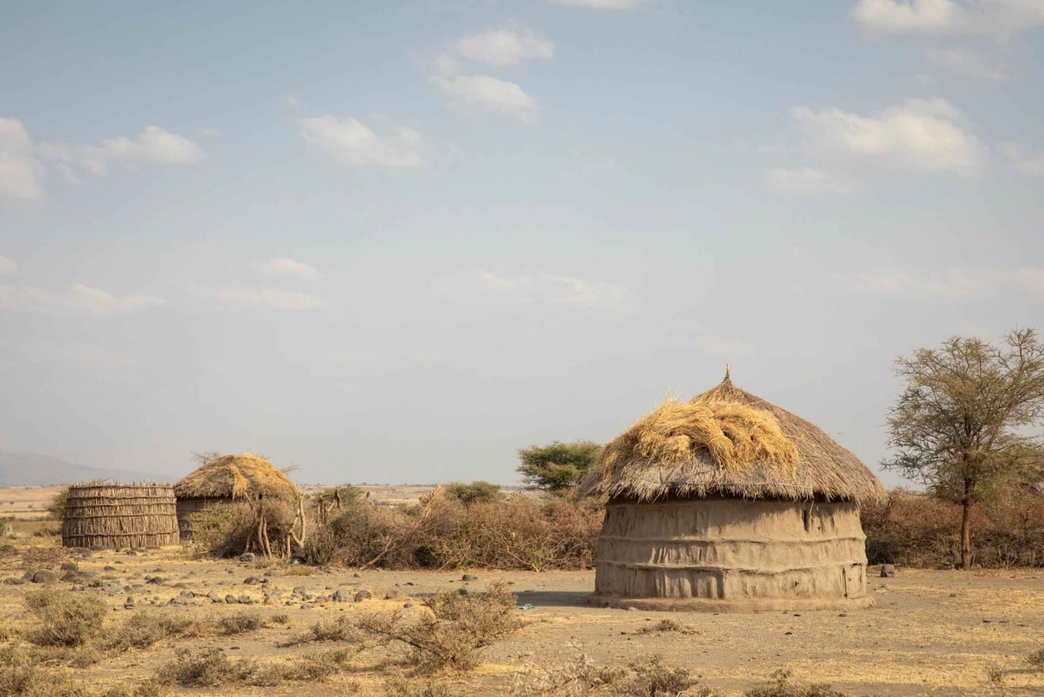 Esperienza culturale Maasai Boma (tour del villaggio maasai)