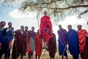 Esperienza culturale Maasai Boma (tour del villaggio maasai)