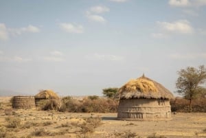 Esperienza culturale Maasai Boma (tour del villaggio maasai)