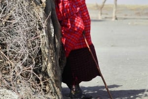 Esperienza culturale Maasai Boma (tour del villaggio maasai)