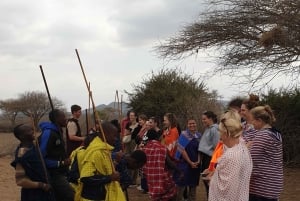 Esperienza culturale Maasai Boma (tour del villaggio maasai)