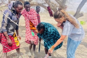 Esperienza culturale Maasai Boma (tour del villaggio maasai)