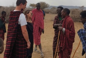 Esperienza culturale Maasai Boma (tour del villaggio maasai)