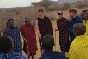 Esperienza culturale Maasai Boma (tour del villaggio maasai)