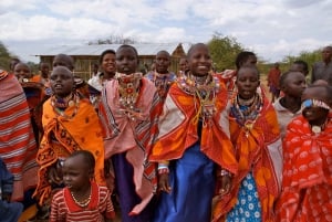 Visita à vila Maasai e fontes termais de chemka com almoço quente