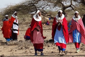Masai landsbybesøk og chemka varme kilder med varm lunsj