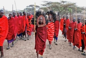 Visita al villaggio Masai e alle sorgenti termali di Chemka con pranzo caldo