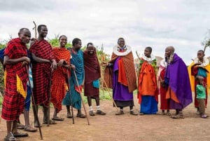 Visita à vila Maasai e fontes termais de chemka com almoço quente