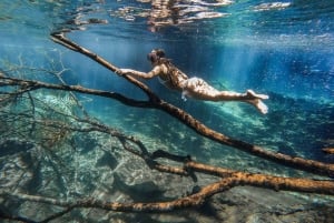 Besøg i Maasai-landsby og Chemka Hot Springs med varm frokost