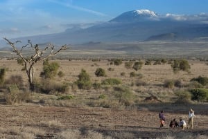 Besøg i Maasai-landsby og Chemka Hot Springs med varm frokost
