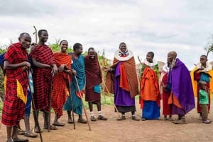 Besøg i Maasai-landsby og Chemka Hot Springs med varm frokost