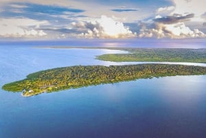 マフィア島：チョレ島ツアー（砂州ランチ付き）