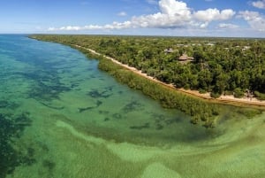マフィア島：チョレ島ツアー（砂州ランチ付き）