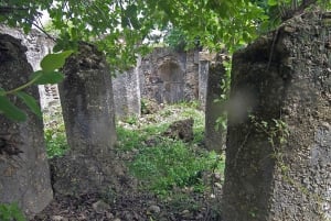 マフィア島：チョレ島ツアー（砂州ランチ付き）