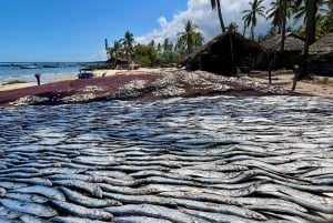 マフィア島：キリンドニ町ガイド付きツアー