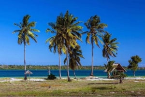 マフィア島：キリンドニ町ガイド付きツアー