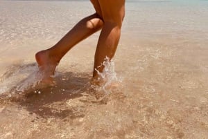 マフィア島：マンゲ砂州シュノーケリングツアー（バーベキュー付き）