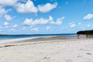 Isola di Mafia: tour del parco marino Sandbank con snorkeling