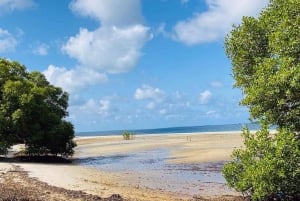 Isola di Mafia: tour del parco marino Sandbank con snorkeling