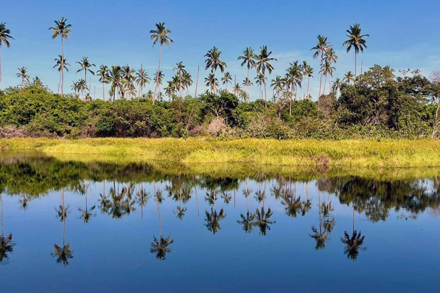 Mafia Island: Northern Lighthouse & Hippo Safari Tour