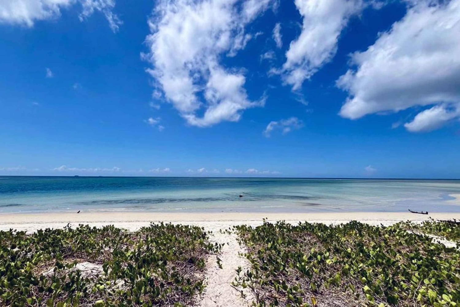 Mafia Island: Northern Lighthouse & Hippo Safari Tour