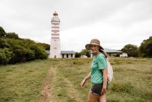 Isola di Mafia: Faro settentrionale e safari degli ippopotami