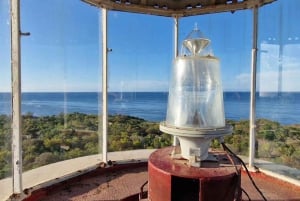 Isola di Mafia: Faro settentrionale e safari degli ippopotami