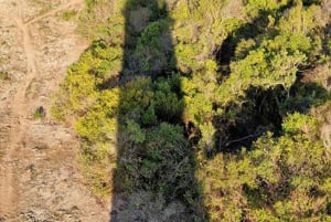 Isola di Mafia: Faro settentrionale e safari degli ippopotami